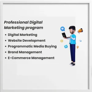professional digital marketing program