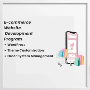 ecommerse website development program